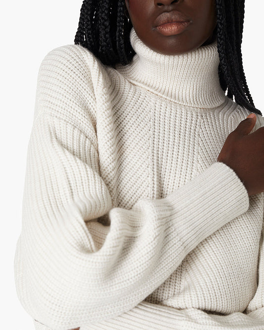 Merino Knit Turtleneck  | TKEES Hot Sale