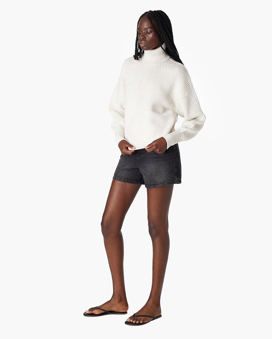 Merino Knit Turtleneck  | TKEES Hot Sale