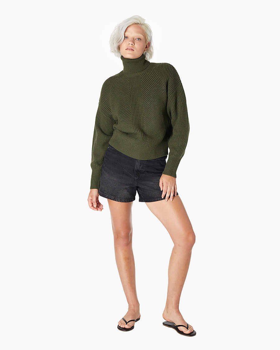 Merino Knit Turtleneck  | TKEES Recommended