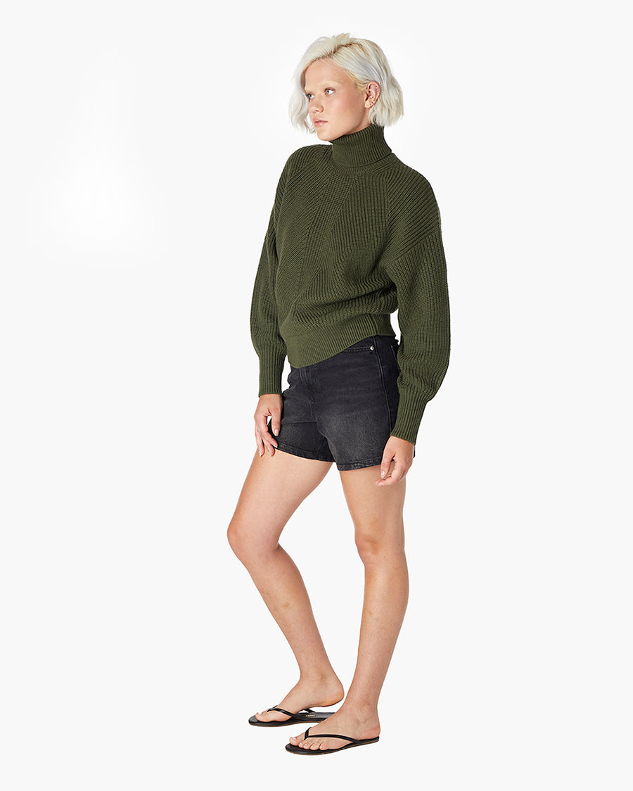 Merino Knit Turtleneck  | TKEES Recommended