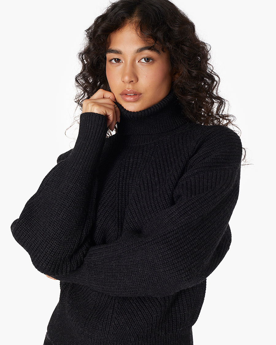 Merino Knit Turtleneck  | TKEES Best Seller