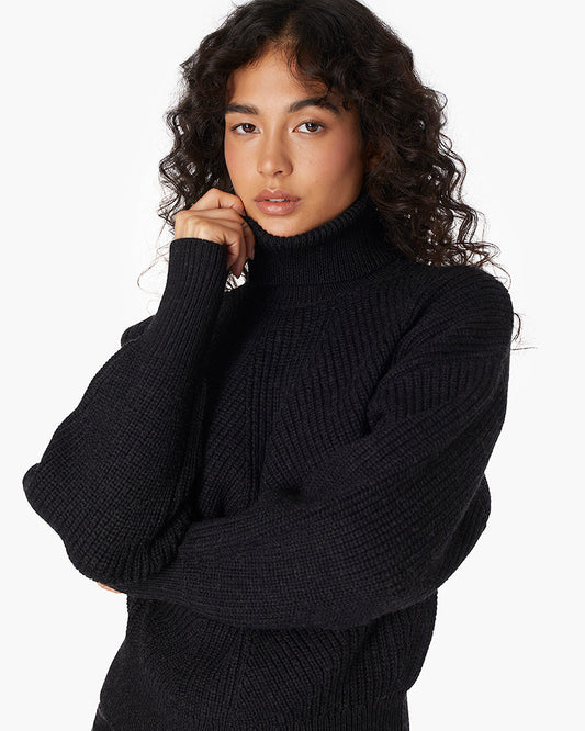 Merino Knit Turtleneck  | TKEES Best Seller